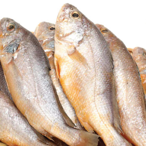 Fresh Croaker - 한국식 조기 (per kg) – Moby's Wholesale
